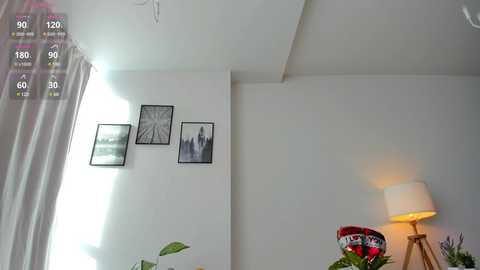 kimberly_ly free recording from 2025-02-19 07:58:00