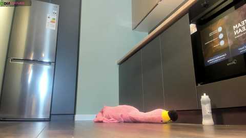 yee_rimm free recording from 2025-02-19 18:47:00