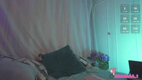 adaaraa_ free recording from 2025-02-20 06:26:00