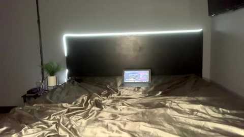 blondie_gin free recording from 