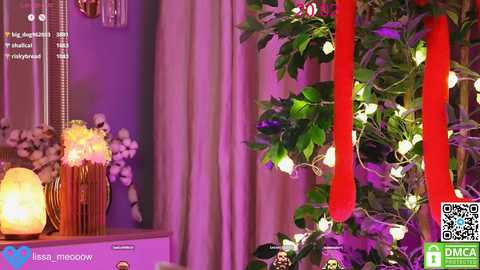 lissa_meooow free recording from 2025-02-20 08:04:00