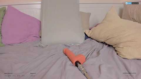 ssshameless free recording from 2025-02-20 03:42:00