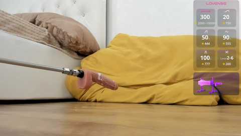 _timeless_paradox free recording from 2025-02-21 12:04:00