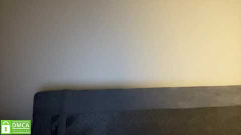 angel_from_sky free recording from 2025-02-21 17:33:00