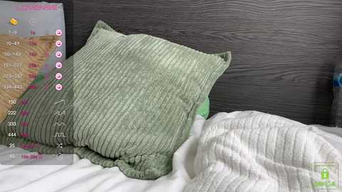 blair_fox free recording from 2025-02-21 07:48:00