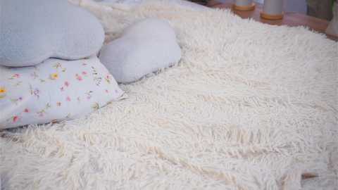 pinkncrazy free recording from 2025-02-21 11:33:00