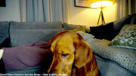 x_lily_x free recording from 2025-02-21 03:24:00