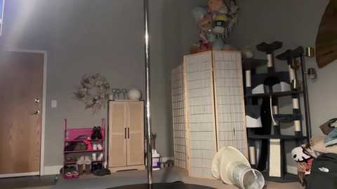 iris_world free recording from 2025-02-22 00:58:00