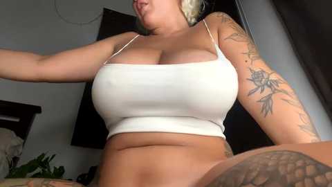 _morpho_ free recording from 2025-02-23 16:09:00