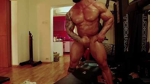 adonis_msc free recording from 2025-02-23 12:46:00