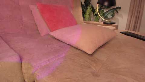 anaonasis free recording from 2025-02-23 02:11:00