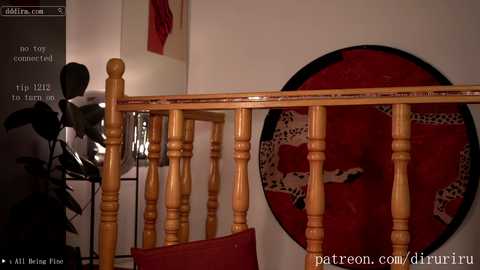 diruriru free recording from 2025-02-23 15:21:00