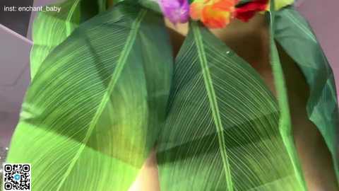 enchant_baby_ free recording from 2025-02-23 07:36:00