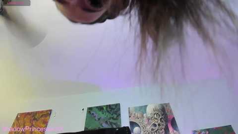 shadowprincessxxx free recording from 2025-02-23 06:47:00