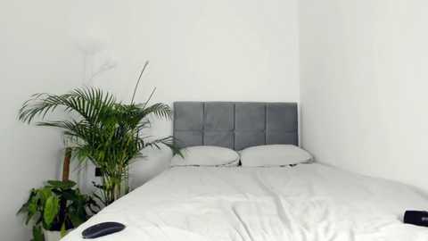 summer_sunshine_ free recording from 2025-02-23 13:37:00