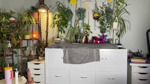 sunniedayz free recording from 2025-02-24 02:12:00