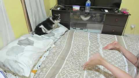 xdreamangel free recording from 