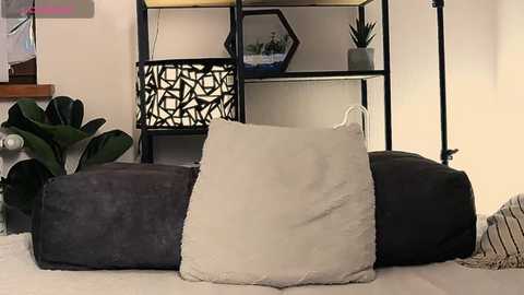 collin_g_g free recording from 2025-02-25 18:34:00