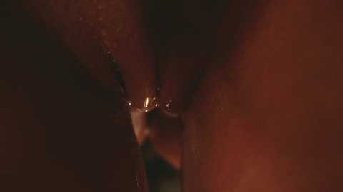 heybanan free recording from 2025-02-25 00:08:00