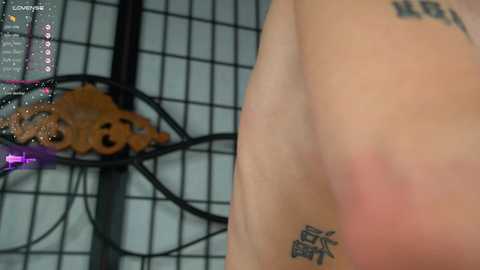 marybrent free recording from 2025-02-25 19:42:00