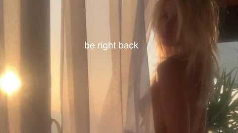 ocicat free recording from 