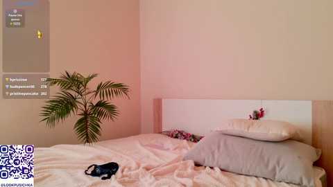 pusichka_ free recording from 2025-02-25 15:00:00