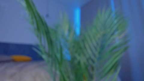 quennacindy free recording from 2025-02-25 07:33:00