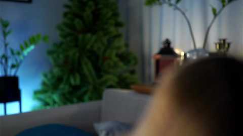 taitehambelton free recording from 2025-02-25 07:21:00