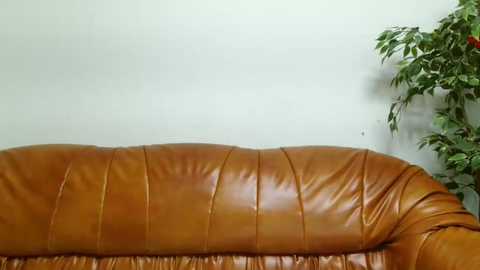 your_flower_pink free recording from 