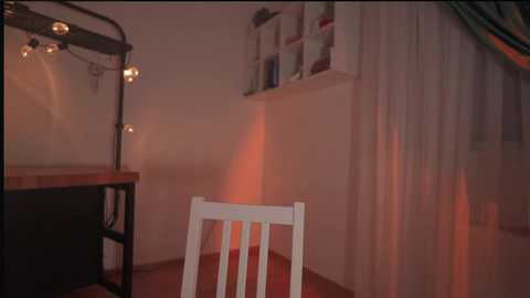 _protea free recording from 2025-02-26 04:41:00