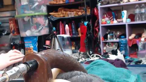 animergamergirl free recording from 2025-02-27 00:43:00