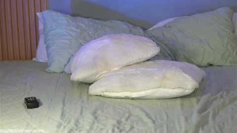 ashley_ospino free recording from 2025-02-27 06:12:00