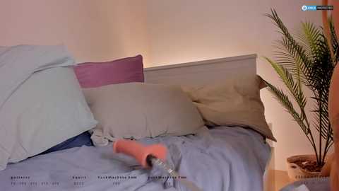 ssshameless free recording from 2025-02-27 04:18:00