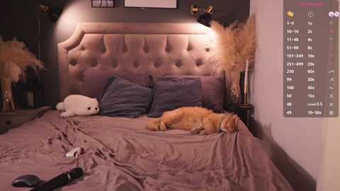 _miumiu_ free recording from 2025-02-28 03:45:00