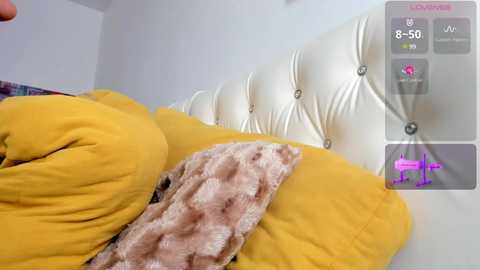 _timeless_paradox free recording from 