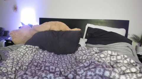 badgrljade free recording from 2025-02-28 08:02:00