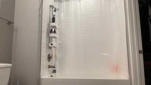 discgolf4life free recording from 2025-02-28 09:41:00