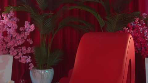 kittycaitlin free recording from 2025-02-28 04:05:00