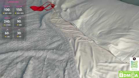 little_nut free recording from 2025-02-28 08:41:00