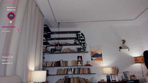 riskyproject free recording from 2025-02-28 10:45:00