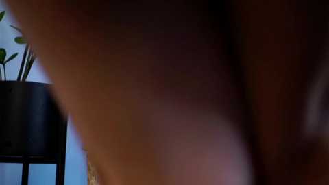 taitehambelton free recording from 