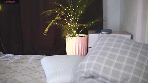 dianaholiday free recording from 2025-03-01 13:47:00