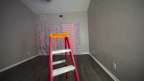 hexivu free recording from 2025-03-01 08:05:00