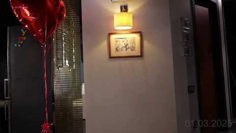 passionatepainter free recording from 