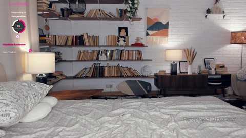 riskyproject free recording from 2025-03-01 13:50:00