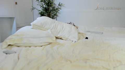 sexycreolyta4u free recording from 