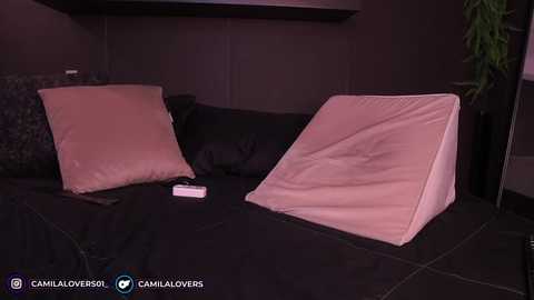 camilalovers01 free recording from 2025-03-02 06:49:00