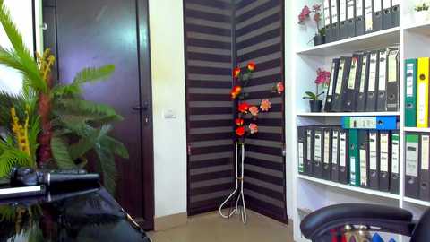 lisa2018 free recording from 