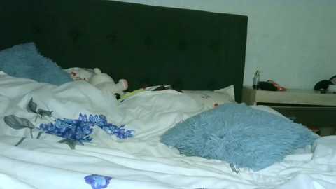 student_alice free recording from 2025-03-02 18:55:00