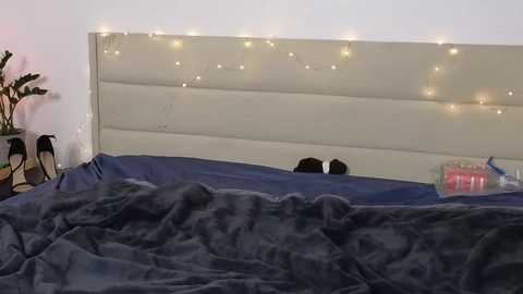 elegantfuckdoll free recording from 2025-03-03 09:35:00